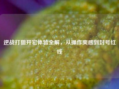 逆战打狙开宏体验全解，从操作爽感到封号红线