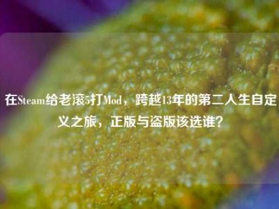 在Steam给老滚5打Mod，跨越13年的第二人生自定义之旅，正版与盗版该选谁？