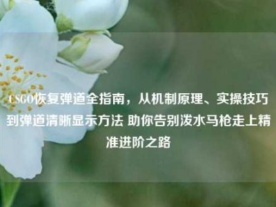 CSGO恢复弹道全指南，从机制原理、实操技巧到弹道清晰显示方法 助你告别泼水马枪走上精准进阶之路