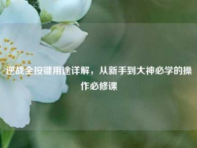 逆战全按键用途详解，从新手到大神必学的操作必修课