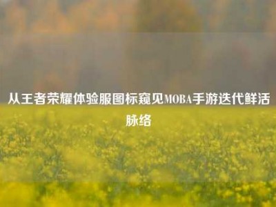 从王者荣耀体验服图标窥见MOBA手游迭代鲜活脉络