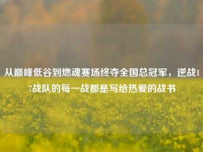 从巅峰低谷到燃魂赛场终夺全国总冠军，逆战17战队的每一战都是写给热爱的战书