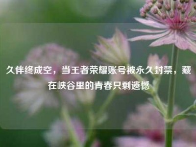 久伴终成空，当王者荣耀账号被永久封禁，藏在峡谷里的青春只剩遗憾