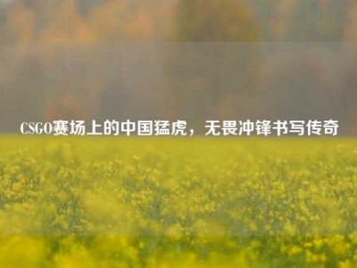 CSGO赛场上的中国猛虎，无畏冲锋书写传奇