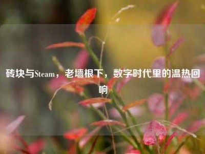 砖块与Steam，老墙根下，数字时代里的温热回响