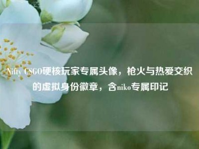 Nifty CSGO硬核玩家专属头像，枪火与热爱交织的虚拟身份徽章，含niko专属印记