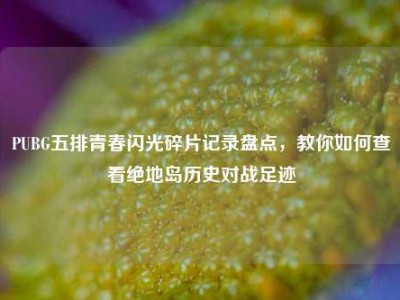 PUBG五排青春闪光碎片记录盘点，教你如何查看绝地岛历史对战足迹