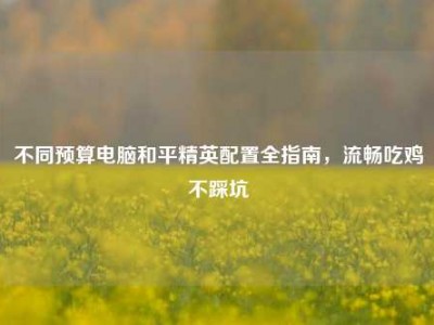 不同预算电脑和平精英配置全指南，流畅吃鸡不踩坑