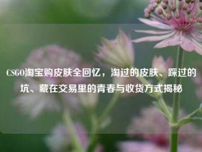 CSGO淘宝购皮肤全回忆，淘过的皮肤、踩过的坑、藏在交易里的青春与收货方式揭秘