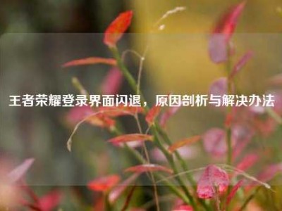 王者荣耀登录界面闪退，原因剖析与解决办法