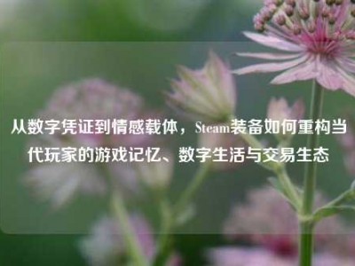 从数字凭证到情感载体，Steam装备如何重构当代玩家的游戏记忆、数字生活与交易生态