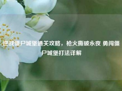 逆战僵尸城堡通关攻略，枪火撕破永夜 勇闯僵尸城堡打法详解