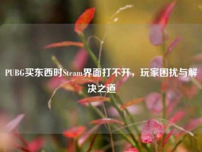 PUBG买东西时Steam界面打不开，玩家困扰与解决之道