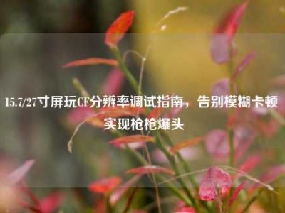 15.7/27寸屏玩CF分辨率调试指南，告别模糊卡顿 实现枪枪爆头