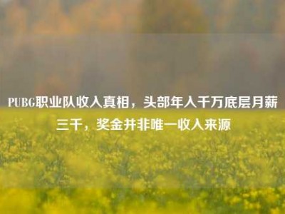 PUBG职业队收入真相，头部年入千万底层月薪三千，奖金并非唯一收入来源