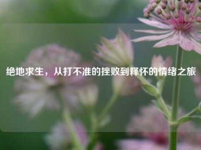 绝地求生，从打不准的挫败到释怀的情绪之旅