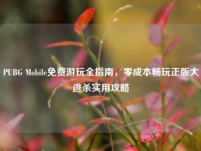 PUBG Mobile免费游玩全指南，零成本畅玩正版大逃杀实用攻略