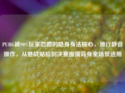 PUBG被90%玩家忽略的隐身身法核心，滑行静音操作，从巷战贴脸到决赛圈摸背身全场景适用