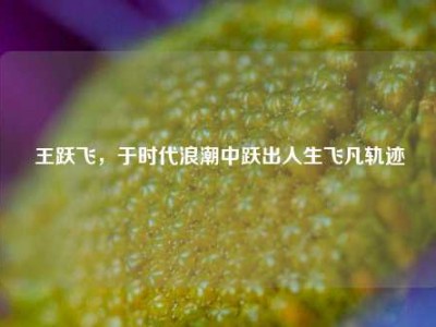 王跃飞，于时代浪潮中跃出人生飞凡轨迹