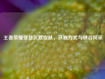 王者荣耀亚瑟沉默皮肤，获取方式与峡谷风采