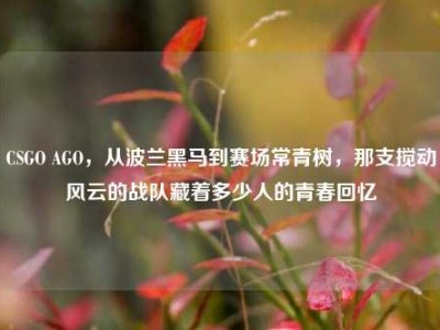 CSGO AGO，从波兰黑马到赛场常青树，那支搅动风云的战队藏着多少人的青春回忆