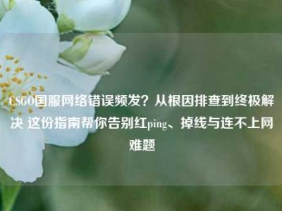 CSGO国服网络错误频发？从根因排查到终极解决 这份指南帮你告别红ping、掉线与连不上网难题
