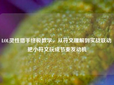 LOL灵性猎手终极教学，从符文理解到实战联动 把小符文玩成节奏发动机