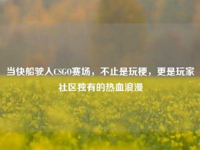 当快船驶入CSGO赛场，不止是玩梗，更是玩家社区独有的热血浪漫