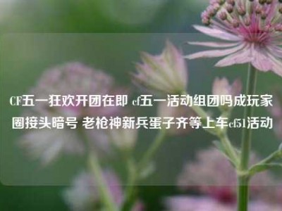 CF五一狂欢开团在即 cf五一活动组团吗成玩家圈接头暗号 老枪神新兵蛋子齐等上车cf51活动