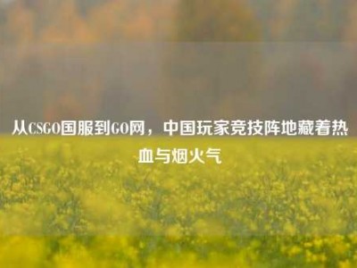 从CSGO国服到GO网，中国玩家竞技阵地藏着热血与烟火气