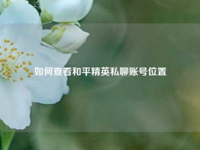 如何查看和平精英私聊账号位置