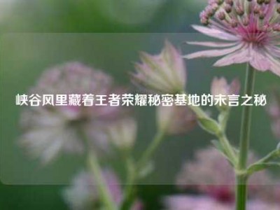 峡谷风里藏着王者荣耀秘密基地的未言之秘