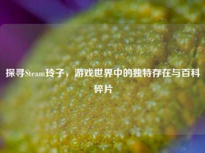 探寻Steam玲子，游戏世界中的独特存在与百科碎片
