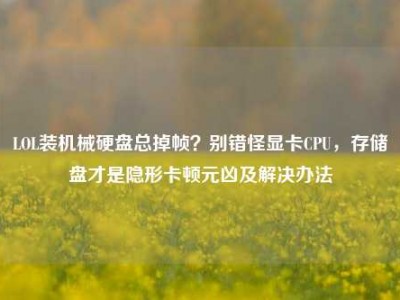 LOL装机械硬盘总掉帧？别错怪显卡CPU，存储盘才是隐形卡顿元凶及解决办法