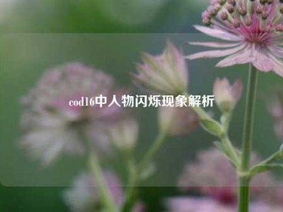 cod16中人物闪烁现象解析