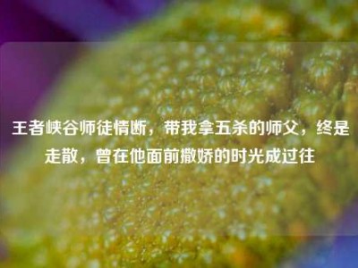 王者峡谷师徒情断，带我拿五杀的师父，终是走散，曾在他面前撒娇的时光成过往
