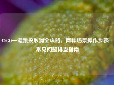 CSGO一键跳投取消全攻略，两种场景操作步骤+常见问题排查指南