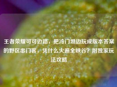 王者荣耀可可边路，把冷门坦边玩成版本答案的野区串门客，凭什么火遍全峡谷？附独家玩法攻略
