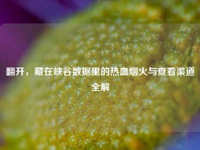 翻开，藏在峡谷数据里的热血烟火与查看渠道全解
