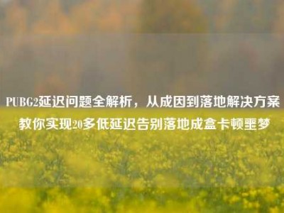 PUBG2延迟问题全解析，从成因到落地解决方案 教你实现20多低延迟告别落地成盒卡顿噩梦