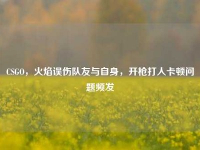 CSGO，火焰误伤队友与自身，开枪打人卡顿问题频发