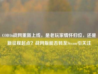 COD16战网重新上线，是老玩家情怀归位，还是新征程起点？战网版能否转至Steam引关注