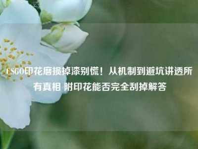 CSGO印花磨损掉漆别慌！从机制到避坑讲透所有真相 附印花能否完全刮掉解答