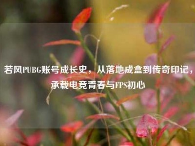 若风PUBG账号成长史，从落地成盒到传奇印记，承载电竞青春与FPS初心
