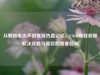 从刺耳电流声到赛场热血记忆，CSGO噪音故障解决攻略与背后的青春回响