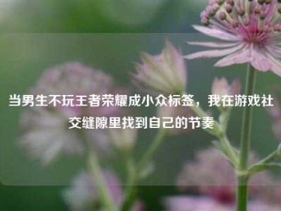 当男生不玩王者荣耀成小众标签，我在游戏社交缝隙里找到自己的节奏