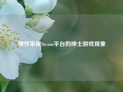 理性审视Steam平台的绅士游戏现象
