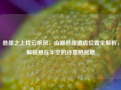 悬崖之上枕云听风，山巅悬崖酒店位置全解析，解锁悬在半空的诗意栖居地