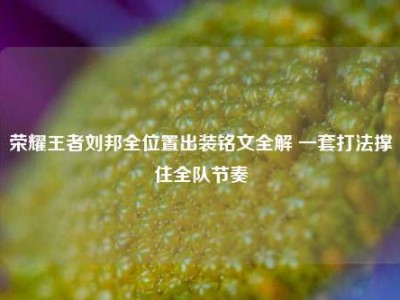 荣耀王者刘邦全位置出装铭文全解 一套打法撑住全队节奏