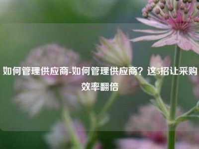 如何管理供应商-如何管理供应商？这5招让采购效率翻倍